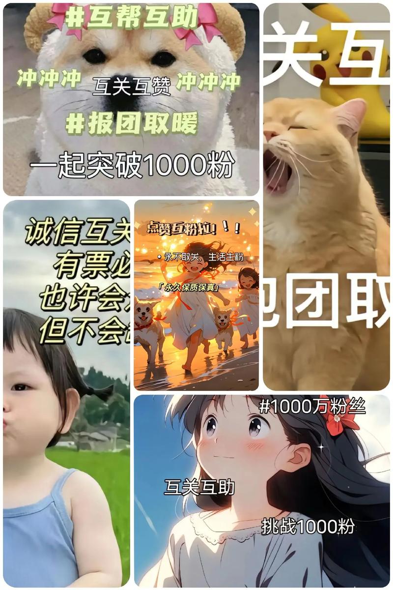 **警惕！抖音粉丝增长无捷径，远离“一元秒杀1000死粉”陷阱**