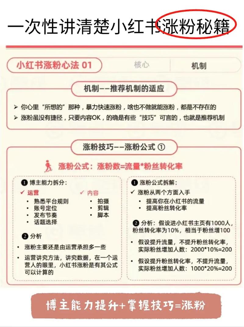 粉丝速增秘诀：小红书买粉攻略大解析