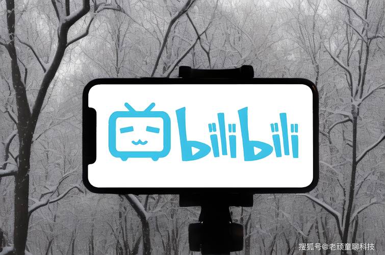 **标题：Bilibili代刷网探秘：玩转视频推广的新门户**