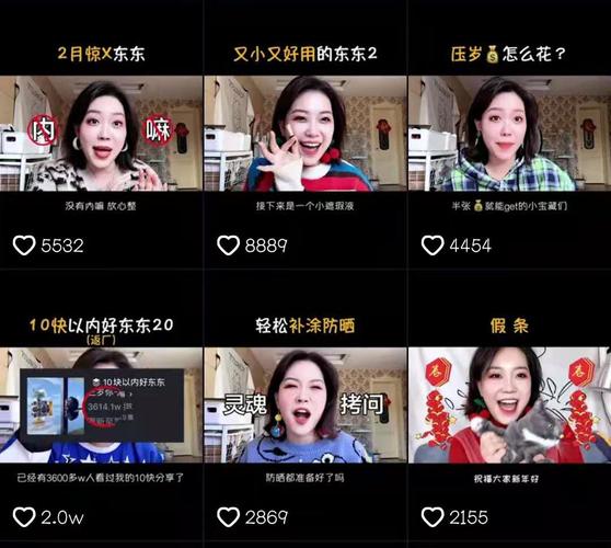 **标题：揭秘B站视频播放量飙升背后的神秘推手——专业刷量平台探析**