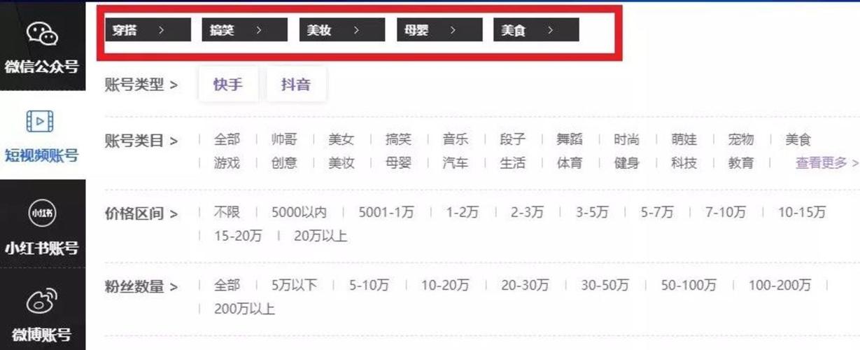抖音1000粉丝购买,让你的账号更具商业价值