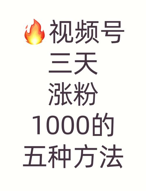 **标题：揭秘视频内容创作秘籍，朋友圈视频号涨粉攻略大公开！**