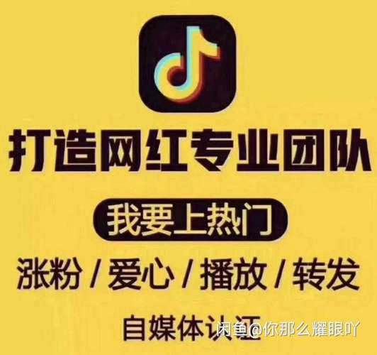 快手真人刷粉网站,让你的短视频事业蒸蒸日上