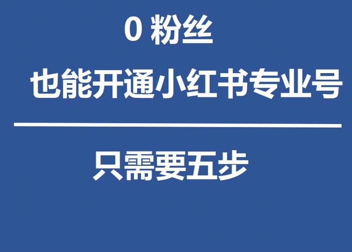 **小红书粉丝购买心得大揭秘：如何轻松俘获粉丝心，助你账号持续走红**