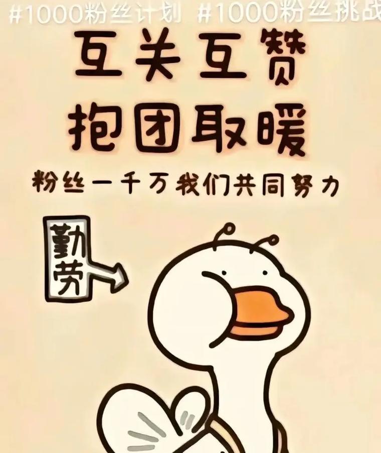 抖音粉丝速成法：1000粉丝轻松get