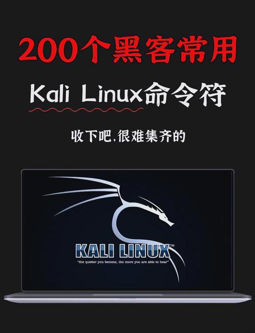 **揭秘Bilibili代刷网:背后的神秘力量与暗影操作**