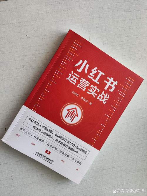 **标题:小红书人气飙升秘诀:一元成本吸引高质量活跃粉丝!**
