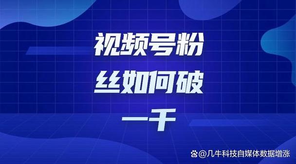 **标题:揭秘视频号快速吸粉秘籍,轻松实现粉丝破万!**