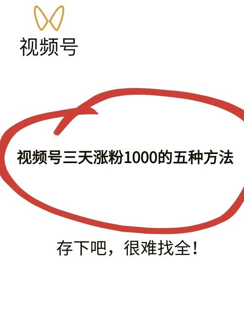**标题：揭秘视频号涨粉秘籍，轻松突破千粉大关！**
