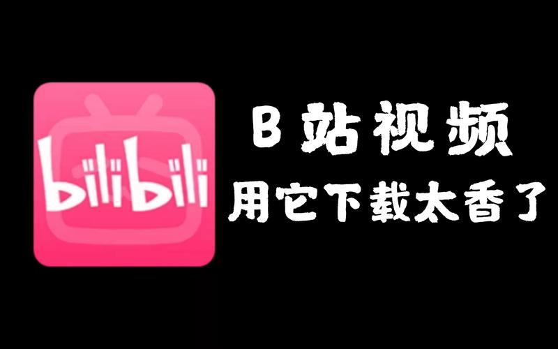 **揭秘神器：如何借助第三方工具让你的B站视频观看量飙升？**
