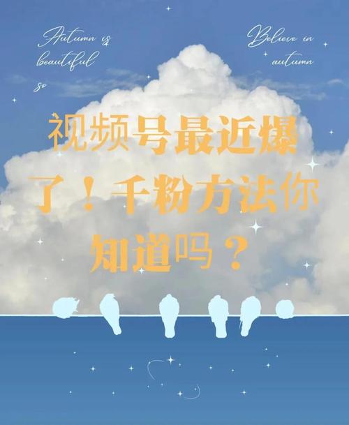 **快手粉丝飙升秘籍:揭秘一元千粉的奥秘!**