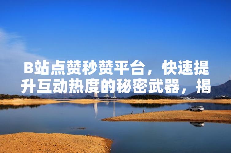 **揭秘哔哩哔哩高播放量背后的“秘密武器”：代刷服务真相探析**