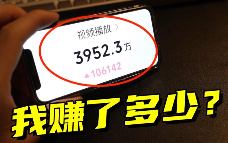 揭秘网络红人背后的秘密：如何通过刷播放量平台提升B站人气