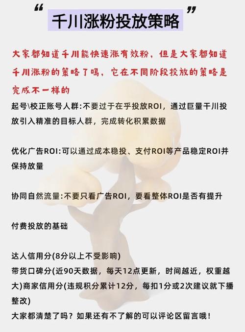 揭秘微博涨粉背后的秘密武器：高效安全的刷粉丝平台推荐。
