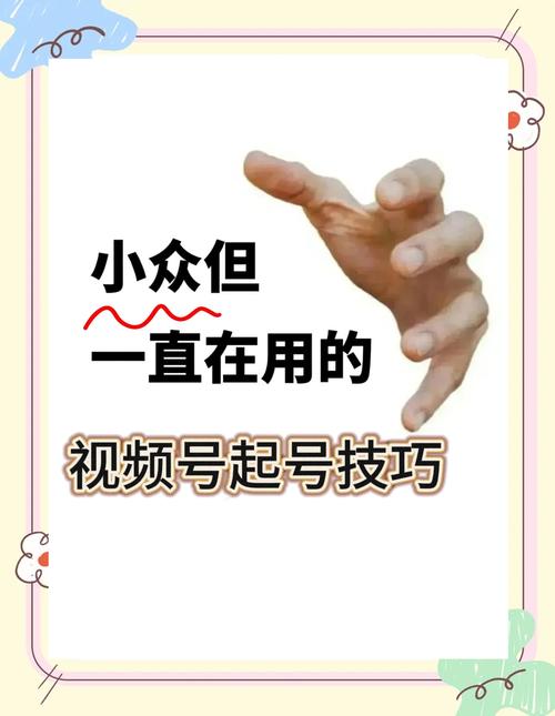 **标题：从零打造热门视频号：我的快速刷粉实战秘籍**